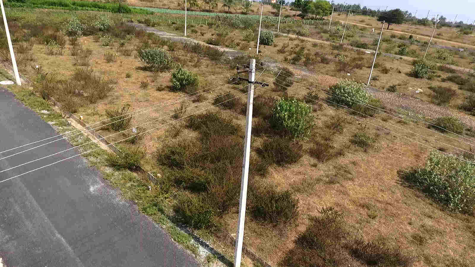 Image1