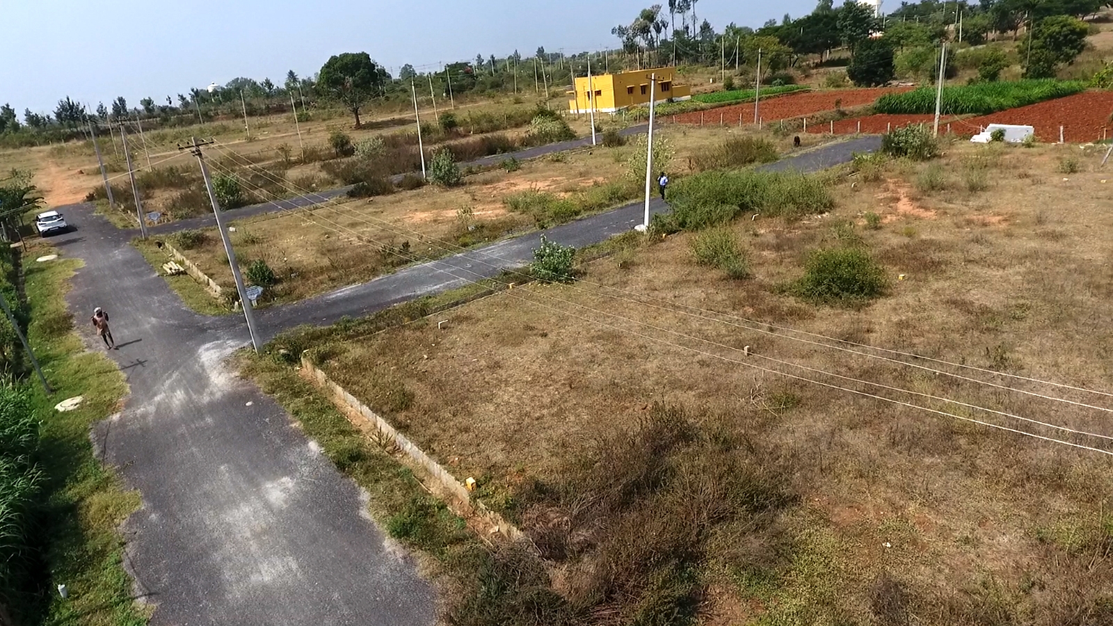 Image2